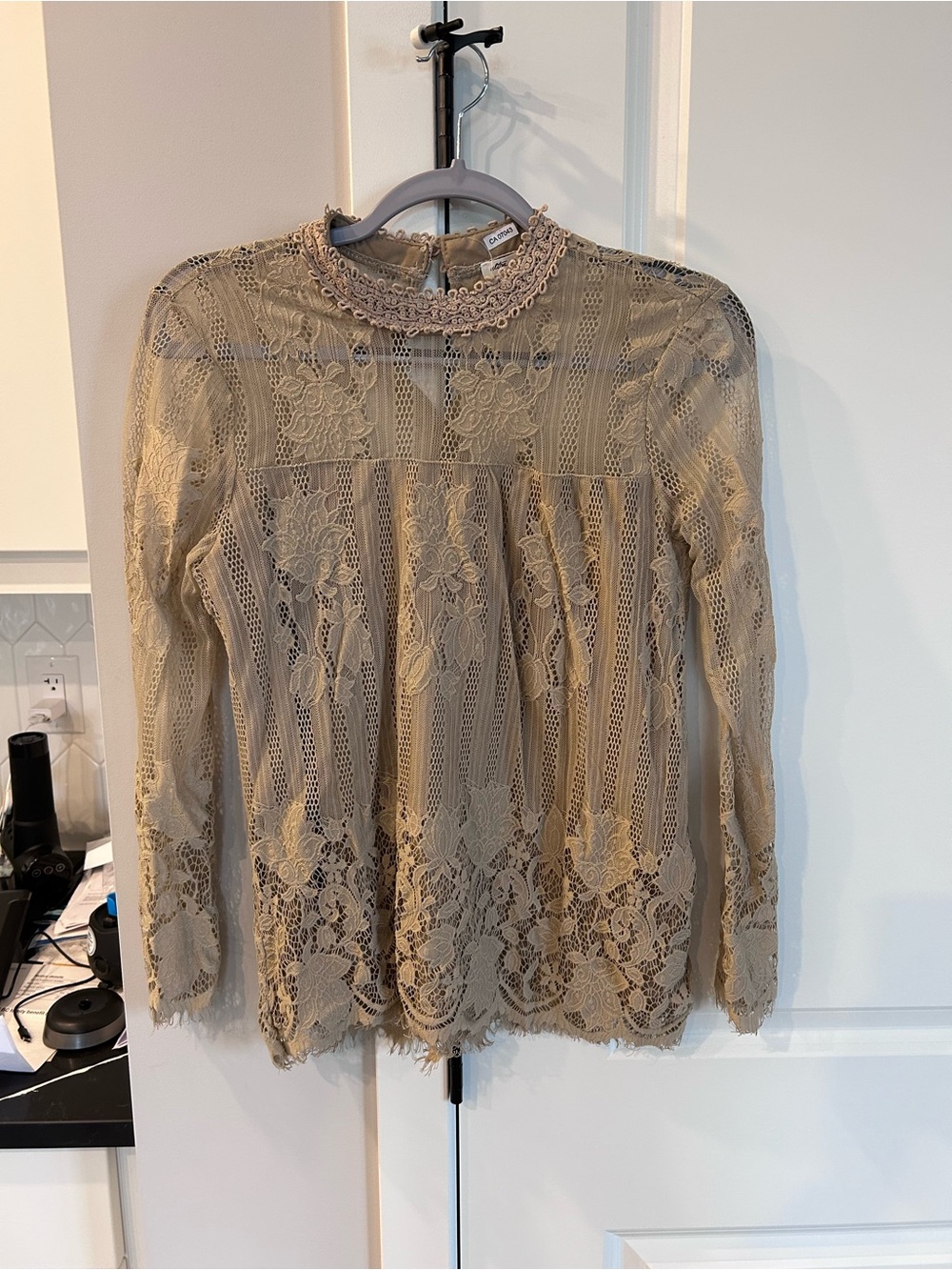 Ultra Pink Taupe Floral Lace Blouse High Neck Long Sleeve Romantic Boho Top
